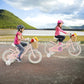 14" Kid's Bike with Training Wheels and Adjustable Handlebar Seat-Pink